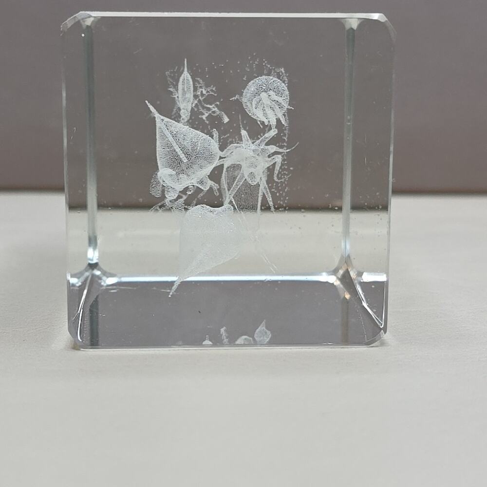 Art Glass Paper Weight Fish Underwater Ocean View 3D, Amazing Piece! Octopus Sea - Picture 6 of 8